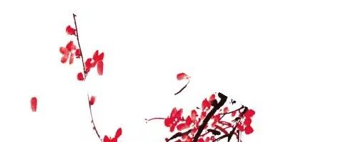 美莱坞医美秀色可餐——面部年轻化提升的是轮廓，降低的是年龄