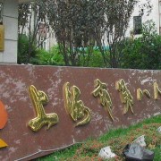 上海市第八人民医院整形科