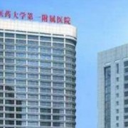 河南中医药大学第一附属医院整形外科