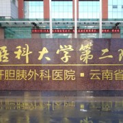 昆明医科大学第二附属医院烧伤科