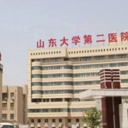 山东大学第二医院美容整形科